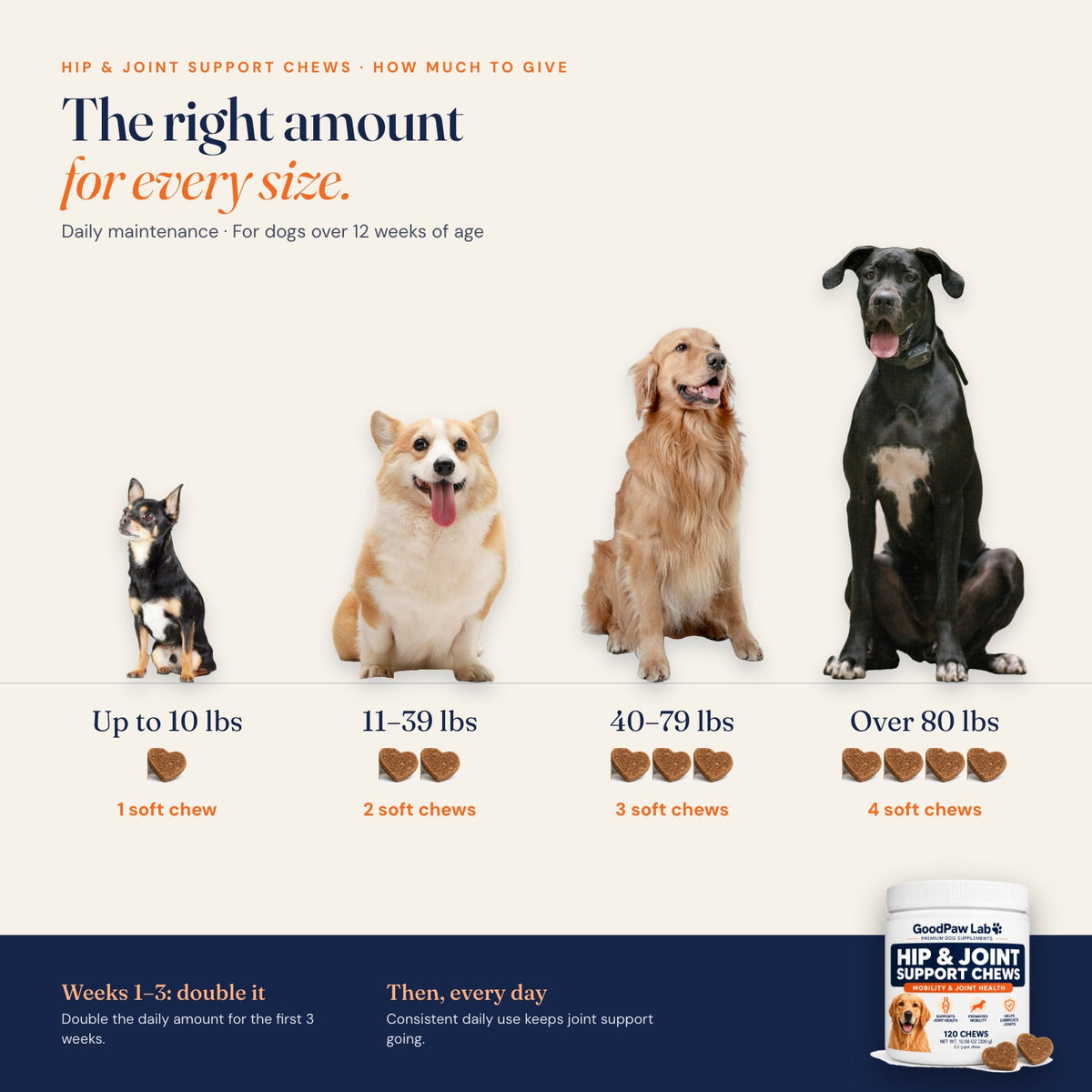 How much Hip & Joint Support Chews to give by dog weight: up to 10 lbs 1 chew, 11-39 lbs 2 chews, 40-79 lbs 3 chews, over 80 lbs 4 chews; double for the first 3 weeks