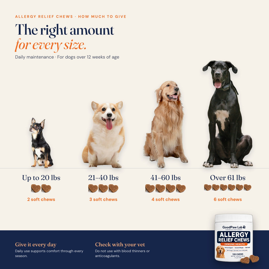 How much Allergy & Immune Support Chews to give by dog weight: up to 20 lbs 2 chews, 21-40 lbs 3 chews, 41-60 lbs 4 chews, over 61 lbs 6 chews